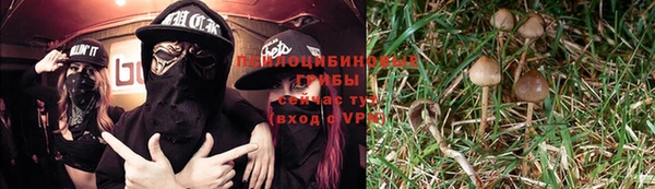 ALPHA-PVP Бородино