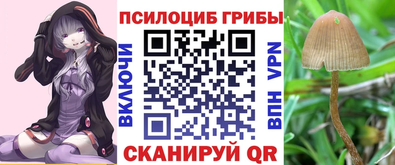 MEGA ссылки где продают наркотики Орехово-Зуево Псилоцибиновые грибы Magic Shrooms